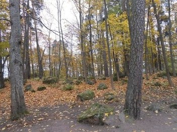 Природа парка Монрепо