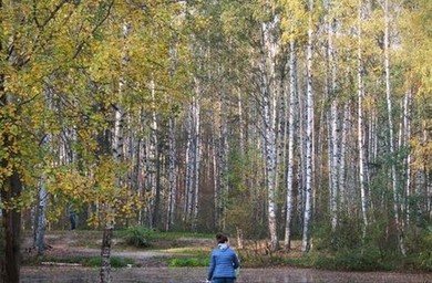 ОСЕННИЙ ПЕЙЗАЖ