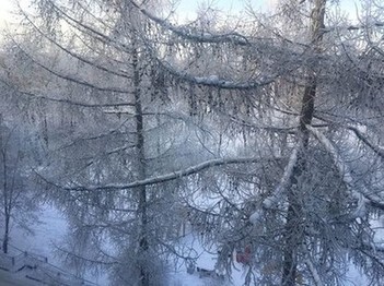 Зимний вид, из окна