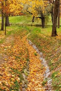 Золотая осень в Александровском парке... Александровский парк. г. Пушкин. Октябрь 2021г., , , , ,