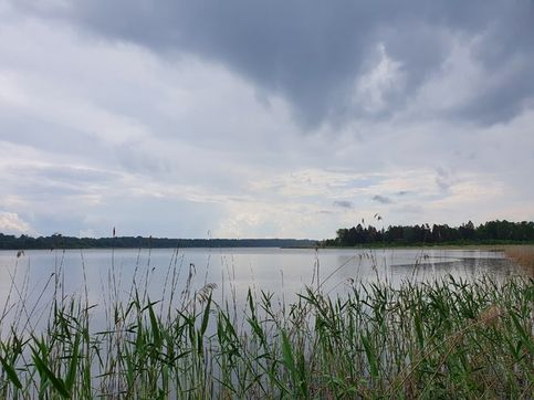Череменецкое озеро, д. Череменец, Лужский район, Ленинградская область