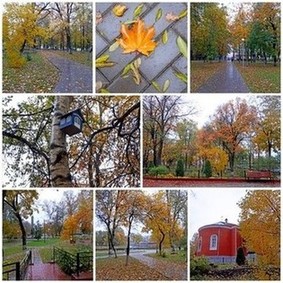 Осенний парк прекрасен даже в дождь?