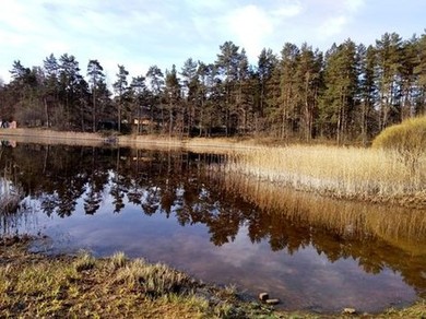 Большие Толони  система двух небольших озер, являющихся частью водной системы, соединяющей озеро Череменецкое с рекой Лугой. Озеро имеет пляж и лодочную станцию