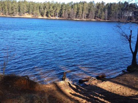 Озеро Омчино  это небольшое прохладное озеро, которое расположено в Лужском районе Ленинградской области