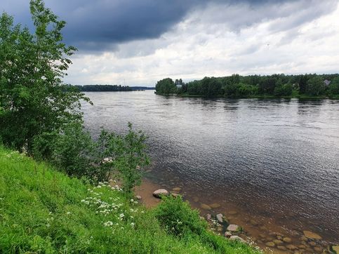 Река Нева, Отрадное, Ленинградская область