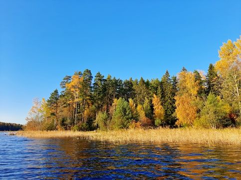 ПРИОЗЕРСК ОСЕНЬ. ПАЛИТРА