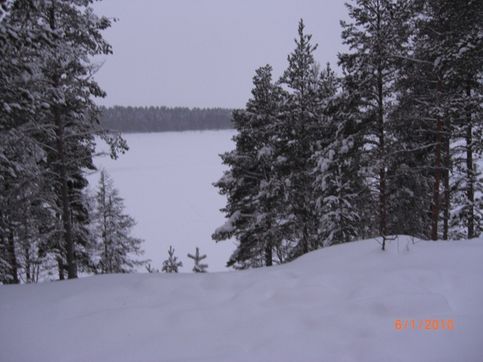 Зима. Финляндия. Р-н Иматры