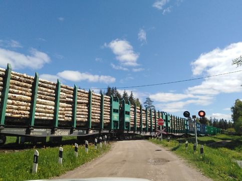 Вывозят наш лес в Финляндию... (((