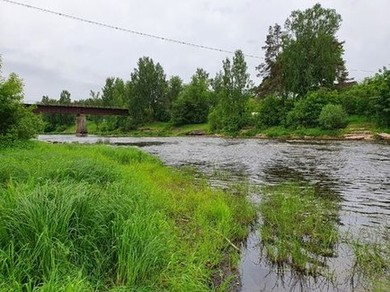 Река Плюсса, Сланцы, Ленинградская область