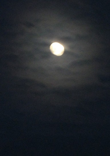 А ночь такая лунная.
