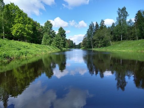 Типичный пейзаж от Тосно до Саблино. Ещ цветущие деревья попадаются. Вода по большей части почти стоячая. И вс это справедливо для 29 мая 2021 года. Летом воды может стать сильно меньше