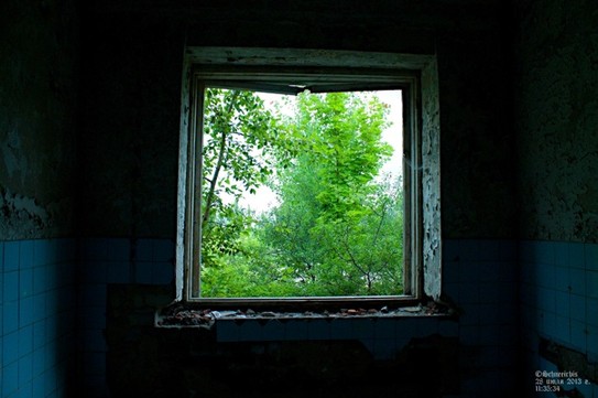 Вид из окна сан-узла казармы