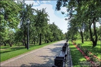 Главная аллея Казанского яблоневого сада. Вид от Большой улицы