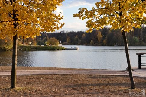 Пруд обрамленный золотыми деревьями. Осенние пейзажи в парке Царицыно, вид на Верхний пруд и пирс со сфинксами. Дата снимка: 13. 10. 2014