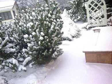 Девственный зимний снег! 1 декабря еще не ступали на него!