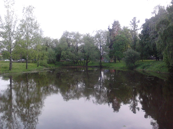 Пруд в парке Карбышева