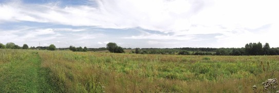 Вид на деревни Носково и Тимоново. Склеенная панорама
