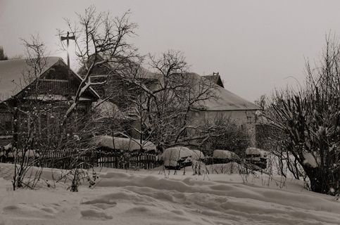 Поселок Ольгово расположен в сорока километрах от МКАД на трассе, соединяющей Дмитровское(A104) шоссе в районе Яхромы с Рогачевским(P113) возле Подьячево