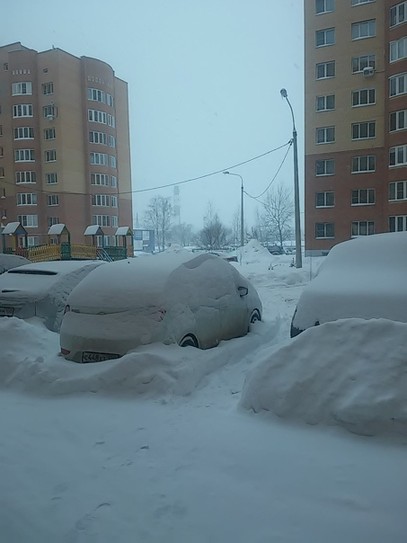 Зима 2016, январь,