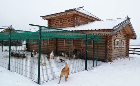 В агроферме Крестьянская усадьба в декабре 2020 года... Птичий двор и его обитатели