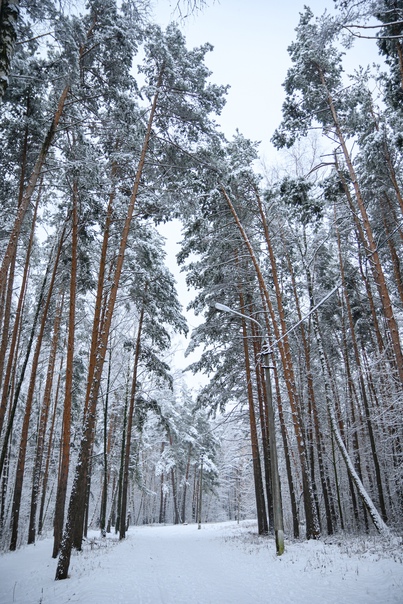 Красивые виды Жуковского