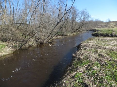 Река Малая Истра