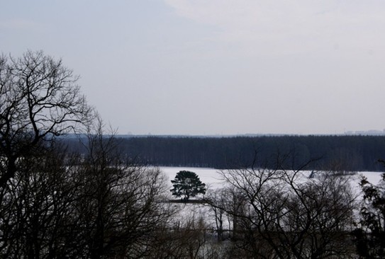 Дерево на другом берегу. Сложилось впечатление, что оно растет на маленьком острове посреди покрытой льдом реки