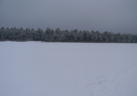 Исаакиевское озеро в зимний период (11 декабря 2014)