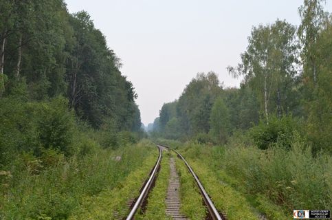 20-й километр линии Голутвин - Озры, перегон Карасво - Озры, Московская область. .