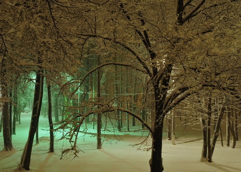 Волшебный лес. Фото сделано из окна гостиницы в г. Ногинск МО в ночь на 1 апреля 2014 года