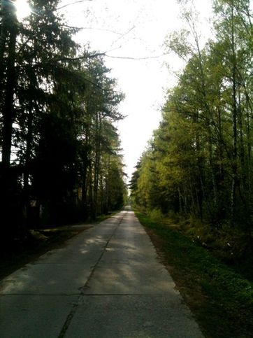 Слева авангард, слева лес