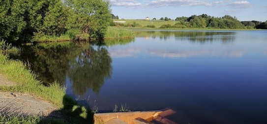 Озеро в деревне Сальково