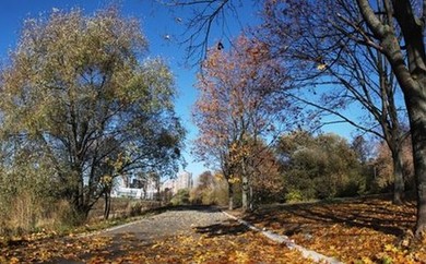 Раменский парк