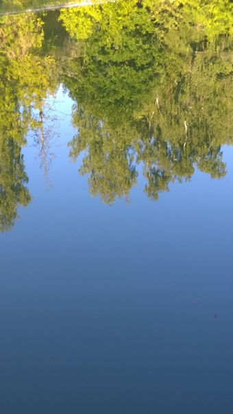 Отражение в реке