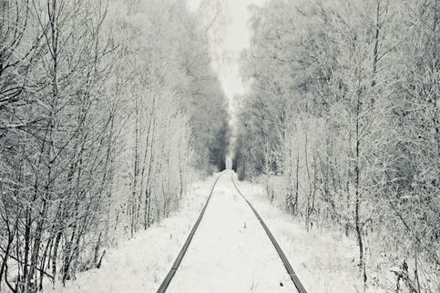 Русский лес, русская железная дорога. Даже самый прямой путь на самом деле имеет свои изгибы