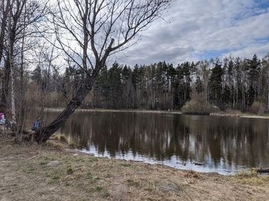 Балашиха-2, озеро Аниськино