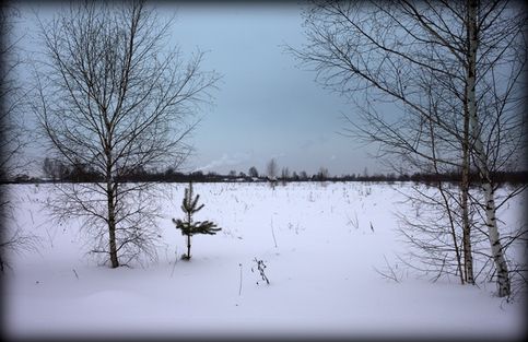 Красивые виды Ступина