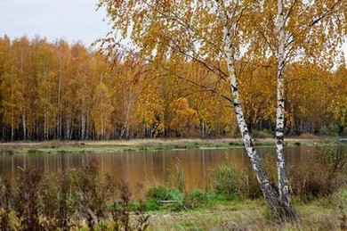 Осень. Чеховская область