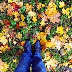 Осень, ты прекрасна. Все в нашей жизни не случайно! . Моя первая встреча с Анной Комаровой состоялась ещ в 2017. Заочно На YouTube (конечно же случайно) попался ролик, где Анна демонстрировала создание причски. Меня так поразил этот процесс, а главное-результат, что не было слов. Пересматривала это видео несколько раз и поняла, что тоже хочу научиться делать такую красоту! . И только в 2019 моя мечта сбылась! Я отучилась в idkomarovawebsalon и уже лично познакомилась с Анной! . Спасибо, что вдохновляете, заряжаете позитивом, энергией и творчеством.