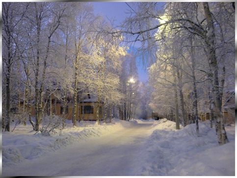 Зимний вечер в Академгородке. Vk. Com/apatity