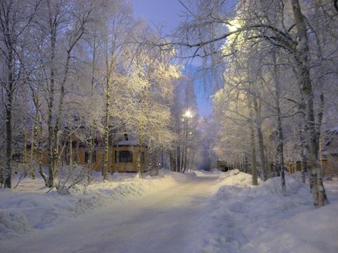 Зимний вечер в Академгородке