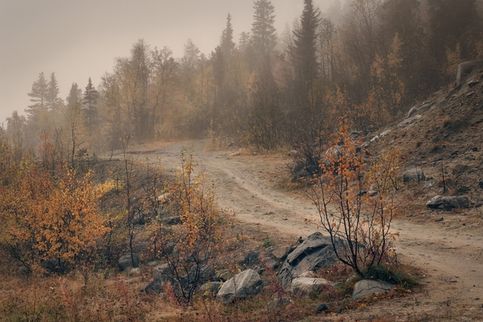 Северная осень. Сентябрь, Кандалакша, Мурманская область. Низкая облачность обволакивала влажным, плотным воздухом, свисая каплями сконденсированного тумана с листьев и веток