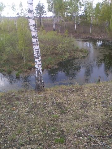 Карстовая воронка вблизи озера Глубокое, которое являлось источником речки Чрная. Воронка обводнена и имеет по середине остров