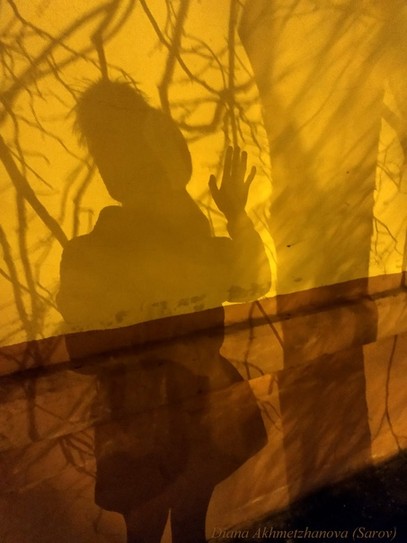 Тень под деревом. Саров, улица Духова (27. 03. 2021)