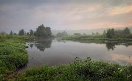 Природы тихий уголок. Нижегородская область, Семновский район, река Керженец, июль 2015 года