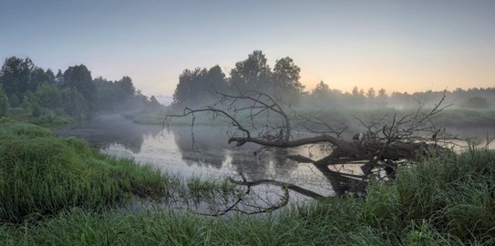 Утро на Керженце. Нижегородская область, река Керженец, июнь 2016 года