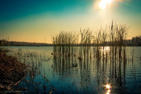 23. 10. 2016 Золотые капли солнца в Ольховом озере