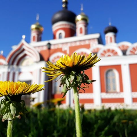 Старорусское лето бывает настолько жаркое и палящее что даже бывает и поздней осенью у собора майские одуванчики цветут Архифото