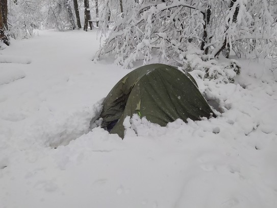 Палатку привалило снегом и ветками