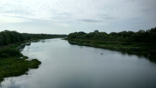 Река Сердоба